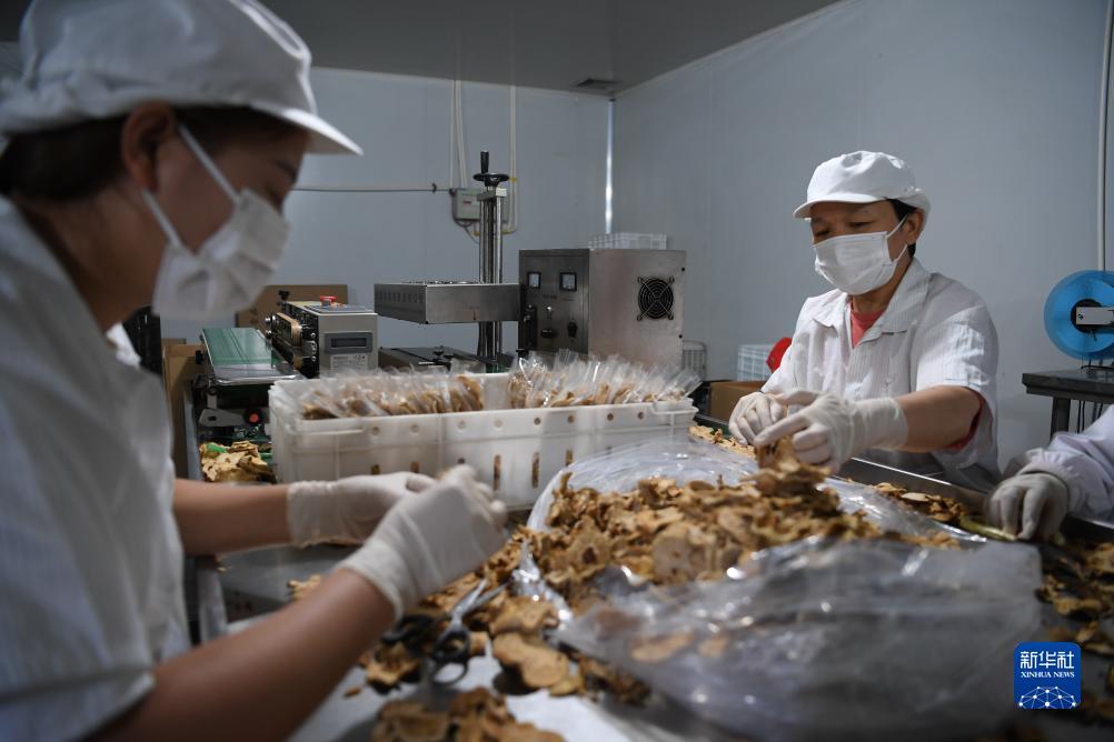 捕鱼游戏电脑版下载开心捕鱼pc版